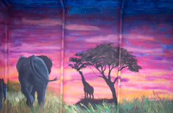 images/allShelters/Elephant-Shelter-2.png