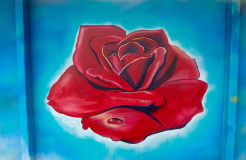 images/allShelters/Meditative-Rose-1.png