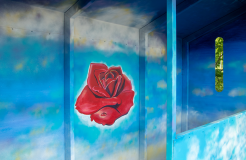 images/allShelters/Meditative-Rose-6.png