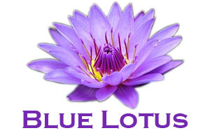 Blue Lotus